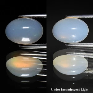π 2.10ct 12x8.5mm Oval Cabochon Natural White Opal - Color Play, Ethiopia Gem - Picture 1 of 6
