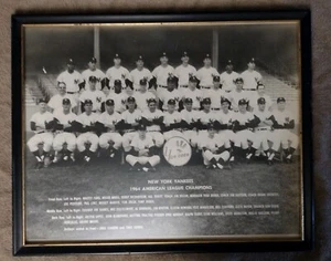 Vintage Original NY Yankees 1964 American League Champions Bilderrahmen Größe 21 x 17 - Bild 1 von 13