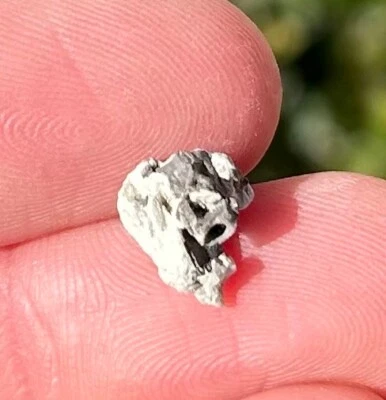 Fossil Permian Reptile or Amphibian Vertebrae in Matrix Dinosaur Bone Oklahoma - Image 1 of 4