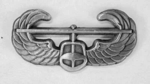 Alas de asalto aéreo del ejército, 1 1/4" WIN-0119 - Imagen 1 de 5