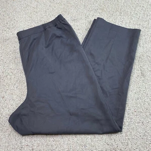 Appleseeds Womens Pants sz 20 Gray Straight Elastic Waist Lightweight Stretch - Picture 1 of 13