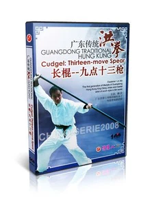 Chinese Kungfu Hong Boxing Hung Kung Cudgel - Thirteen move spear by Lin Xin DVD - Picture 1 of 1