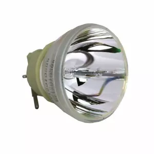 Lámpara desnuda para proyector Philips BenQ 5J.J6E05.001 - Imagen 1 de 5