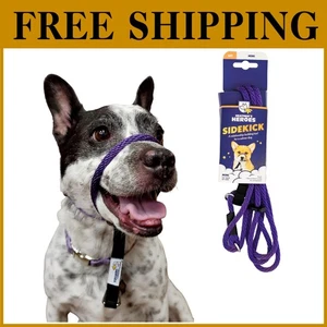 Sidekick Dual-Purpose Dog Headcollar Set - Behavior Training - Picture 1 of 9