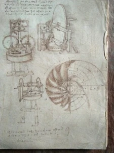 Atemberaubende anatomische Zeichnung Leonardo da Vinci Codex Tusche auf Bütten Wasserzeichen - Bild 1 von 9
