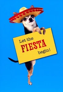 Funny BIRTHDAY Card, Cute Chihuahua Dog Sombrero Fiesta by American Greetings +✉ - Picture 1 of 5