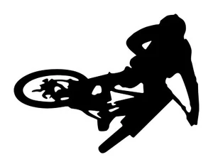 Sideways Style Decal Sticker for DH downhill MTB. Fox Troy Lee Trek 100% - Picture 1 of 6