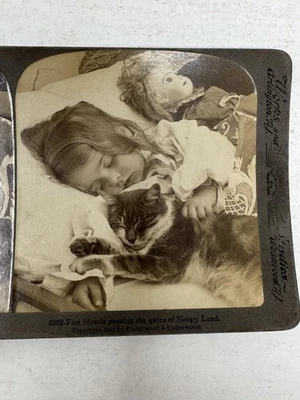 Антикварная кукла-кошка 1906 Underwood & Underwood Stereoview Sleepy Land - Изображение 1 из 3
