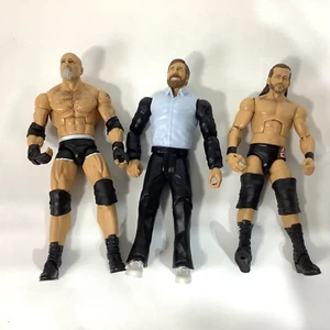 Figuras de acción de lucha libre WWE-Seth Rollins, Big Cass, Arn Anderson, lote de 3 - Imagen 1 de 2