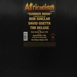 Africanism Allstars - SUMMER MOON (Vinyl - May 24, 2005) - Single - Picture 1 of 1