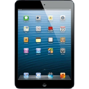 Apple iPad Mini 1st Gen (16GB, Wi-Fi + Verizon 4G LTE, Black/Slate) - MD540LL/A - Picture 1 of 1