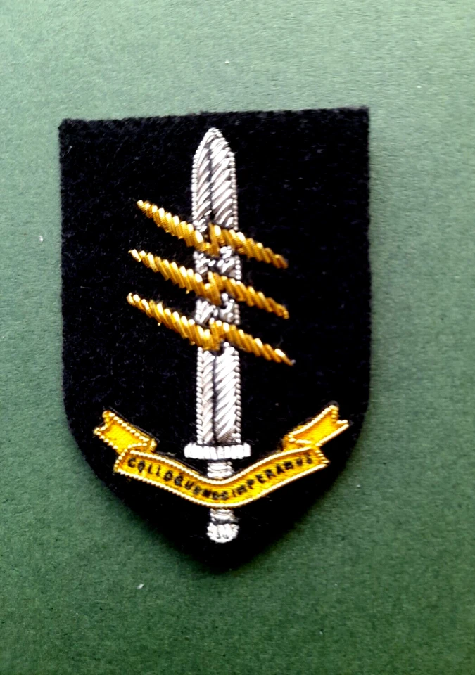 Special Forces Communicators beret badge, part bullion - Image 1 of 1