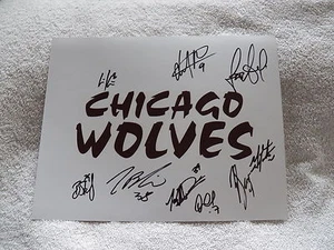 12/13 Chicago Wolves Team Signed 8x10 Photo w/ Yann Sauve Vancouve Canucks - Picture 1 of 1