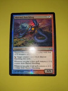 FOIL Shrewd Hatchling x1 Eventide 1x Magic the Gathering MTG - Picture 1 of 1