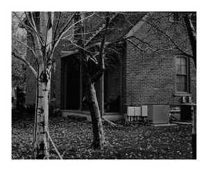 10 X 8 photo print fine art - Picture 1 of 1