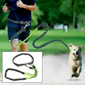 Einstellbare Joggingleine Walkingleine Hundeleine Wanderleine mit Bauchgurt Neu - Bild 1 von 11