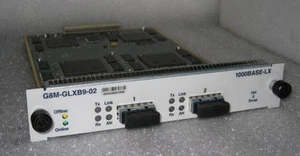 Riverstone G8M-GLXB9-02 RS8000 RS8600 2 Port Gigabit Ethernet LX Module - Picture 1 of 1
