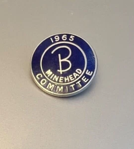 1965 Butlins Minehead Committee Badge, Blue Enamel, W. Reeves & Co Ltd. - Picture 1 of 2
