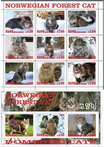 Stamp sheet+block Norwegian Forest Cat Korea 2020 issue - Picture 1 of 1