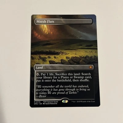 Marsh Flats Borderless Special Guest NM - Image 1 of 2