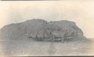 F92/ Occupational RPPC Postcard c1910 Harvesting Loading Hay Wagon Farm 9 - Picture 1 of 4
