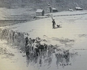 1892 Alaska St. George's Island St. Paul's Island Pelzrobbe Rookeries - Bild 1 von 5