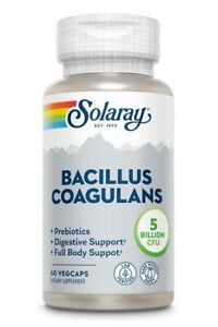 Solaray Bacillus Coagulans 60 VegCap