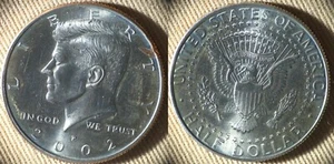 Error : 2002P Half Dollar W/ Rim Obv IREC167 - Picture 1 of 1