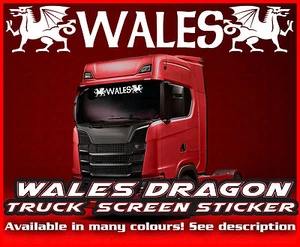 Pegatina parabrisas cabina de vidrio cabina de vidrio camión camión HGV HOMBRE DAF SCANIA IVECO - Imagen 1 de 7