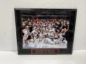 Chicago Blackhawks 2010 Stanley Cup Champions Team Plakette Bild - Bild 1 von 12