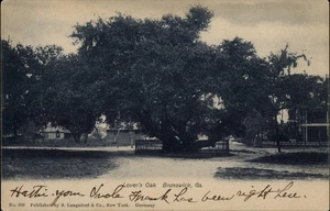 Brunswick, GA Lover's Oak c1907 UDB Glynn County Georgia Postkarte - Bild 1 von 2