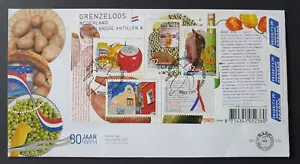 2008 NETHERLANDS NEDERLAND BOUNDLESS FOOD ARCHITECTURE NR 573 FDC - Picture 1 of 1
