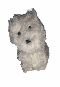 Antique Dog Terrier Puppy Furry White Terrier Dog Paperweight! - Picture 1 of 11