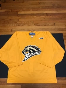Authentic Bauer Western Michigan Broncos Pro56 Garden Stitched Hockey Jersey - Picture 1 of 13