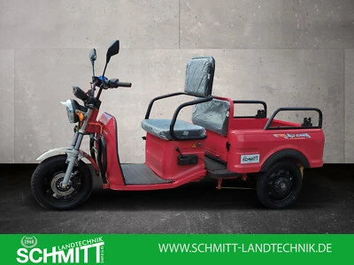 Elektro Trasnporter Rikscha Lastendreirad und Personentransport in einem - Bild 1 von 4