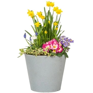 Scheurich Blumentopf C-Cone Beton-Look Verschiedene Größen und Farben Pflanztopf - Bild 1 von 24