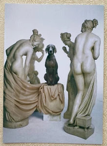 William Wegman Iphignie en Tauride Fotofolio Blank Note Card 2007 Fine Art - Picture 1 of 3