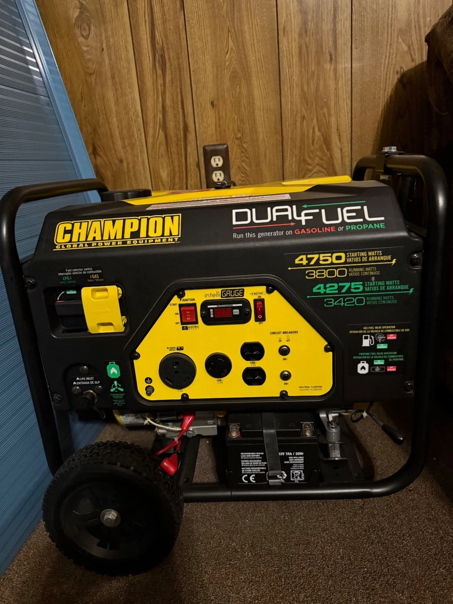 冠军双燃料发电机| eBay