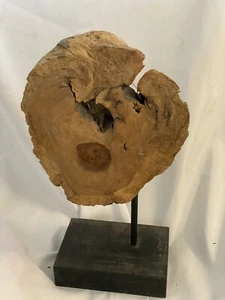 19"x10" Lake Michigan Driftwood Art Sculpture made in early 70s Neat Piece - Picture 1 of 7