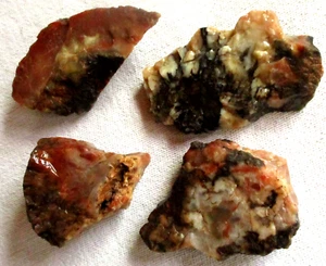 Coprolite - Rough - Dinosaur Poo - Dino Dung - Utah - 326 grams - Lot of 4 - Picture 1 of 4