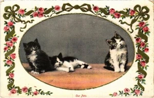 PC KATZEN UNSERE HAUSTIERE (a2112) - Bild 1 von 2
