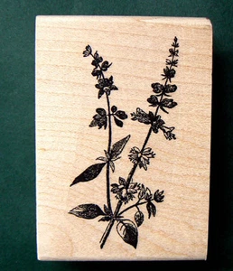 Mint herbal rubber stamp WM 2.75x1.5" - Picture 1 of 1