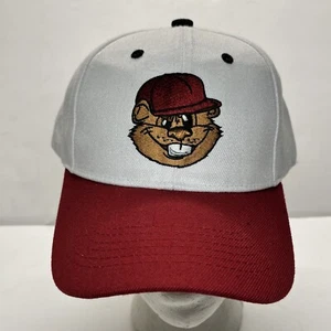 Lehigh Valley Iron Pigs Woodchucks Hat Cap Hook Loop White Red Baseball SGA - Picture 1 of 15