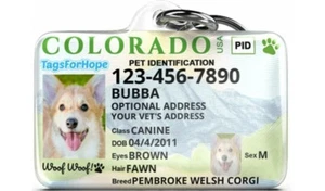 Colorodo drivers license dog custom novelty pet tag FREE SHIPPING SHIPS 1DAY - Picture 1 of 7