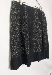 Talbots size 20 Women's Lace A-line Midi Skirt Pleated Plus Size Double Lined - Picture 1 of 6