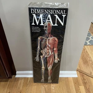 3D lebensgroßer Popup dimensionaler Mann - David Pelham anatomisches medizinisches Papiermodell - Bild 1 von 2