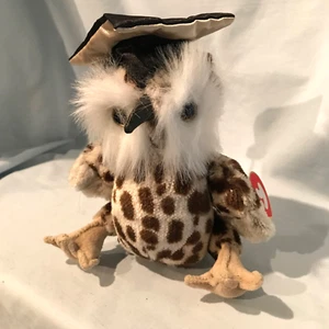 Sokrates Eule Ty Dachbodenschatz #6269 Vogel 2000 Abschlusskappe im Ruhestand 8,99 $ - Bild 1 von 19