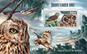 Maldives - 2013 Short-Eared Owl Souvenir Sheet 13E-035 - Picture 1 of 1
