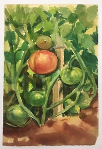 Original 8” X 11” Tomato Plant Watercolor by 1950’s Illustrator Rudolph Schwartz - Picture 1 of 8