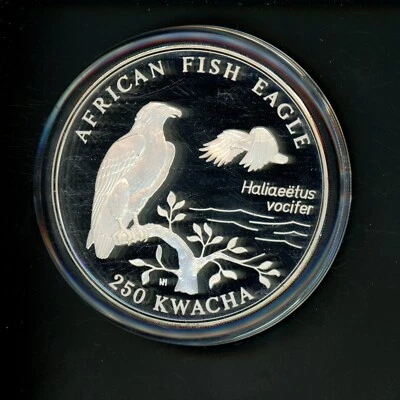 Zambia 250 Kwacha 1993 African Fish Eagles PROOF Silver Coin KM 34 Large Size - Image 1 of 2